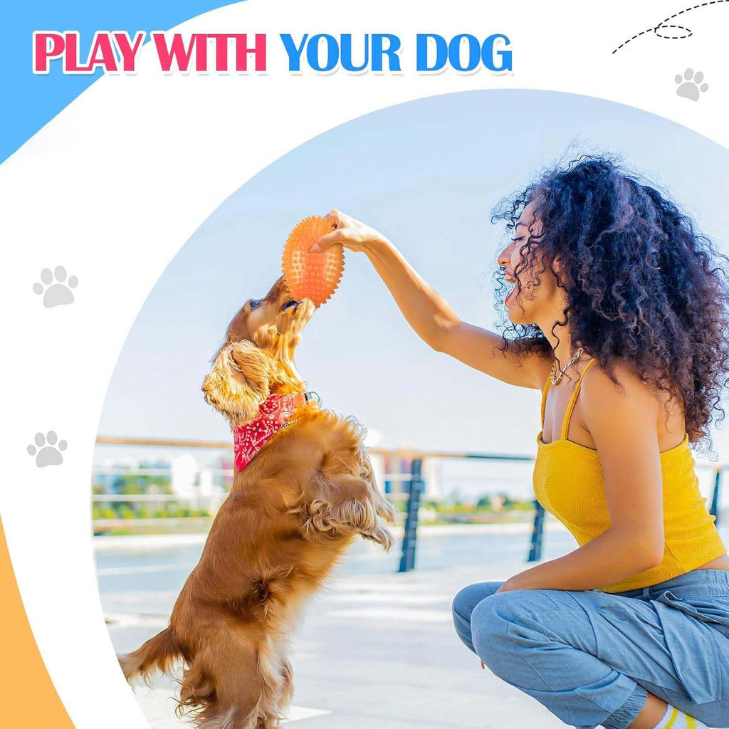 Dog Spike Squeaky Football Chew Toy