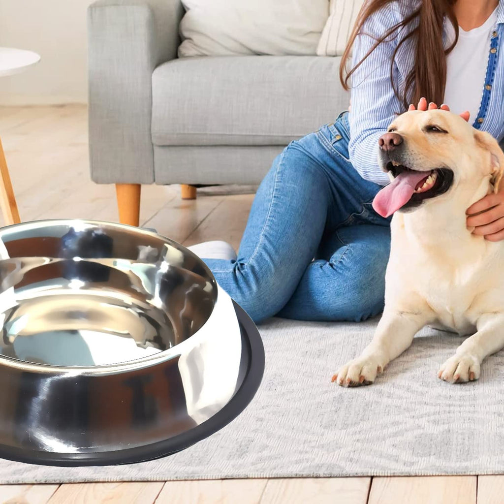 Pet Food/Water Bowl with Rubber Ring