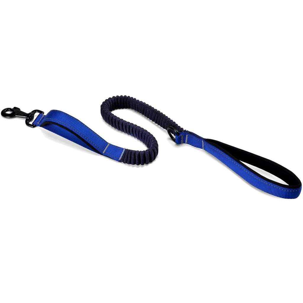 Dog Leash with Double Padded Handles