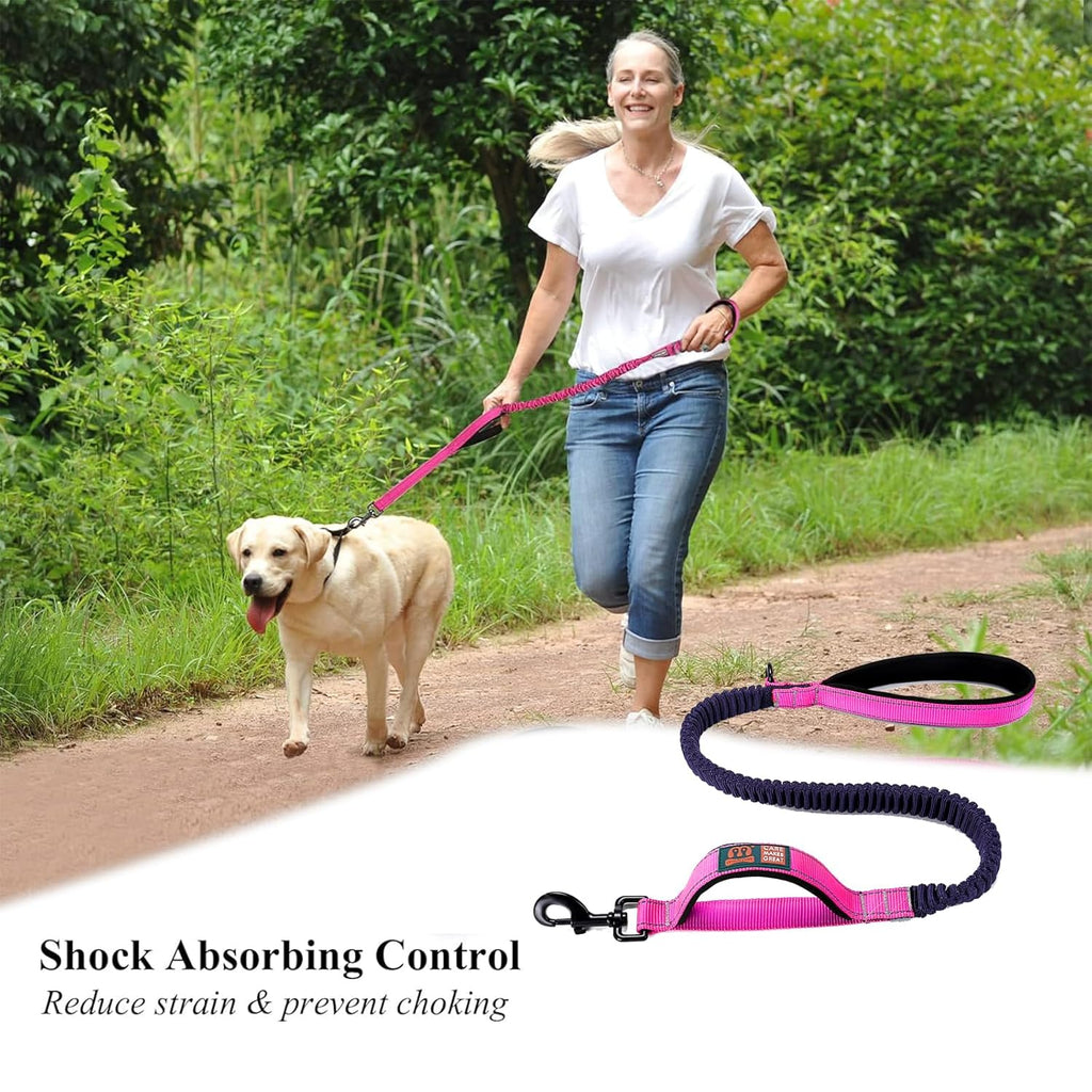 Dog Leash with Double Padded Handles