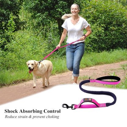 Dog Leash with Double Padded Handles