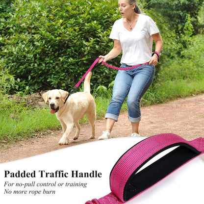 Dog Leash with Double Padded Handles