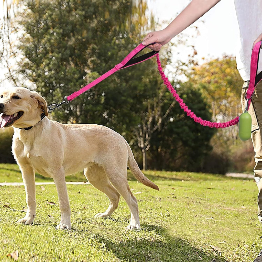 Dog Leash with Double Padded Handles