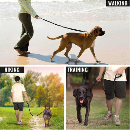 Dog Leash with Double Padded Handles