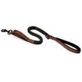 Dog Leash with Double Padded Handles