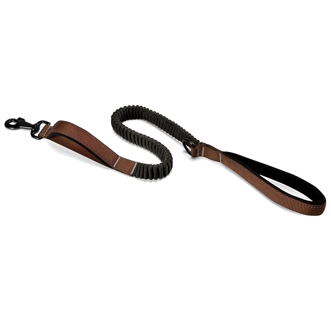 Dog Leash with Double Padded Handles
