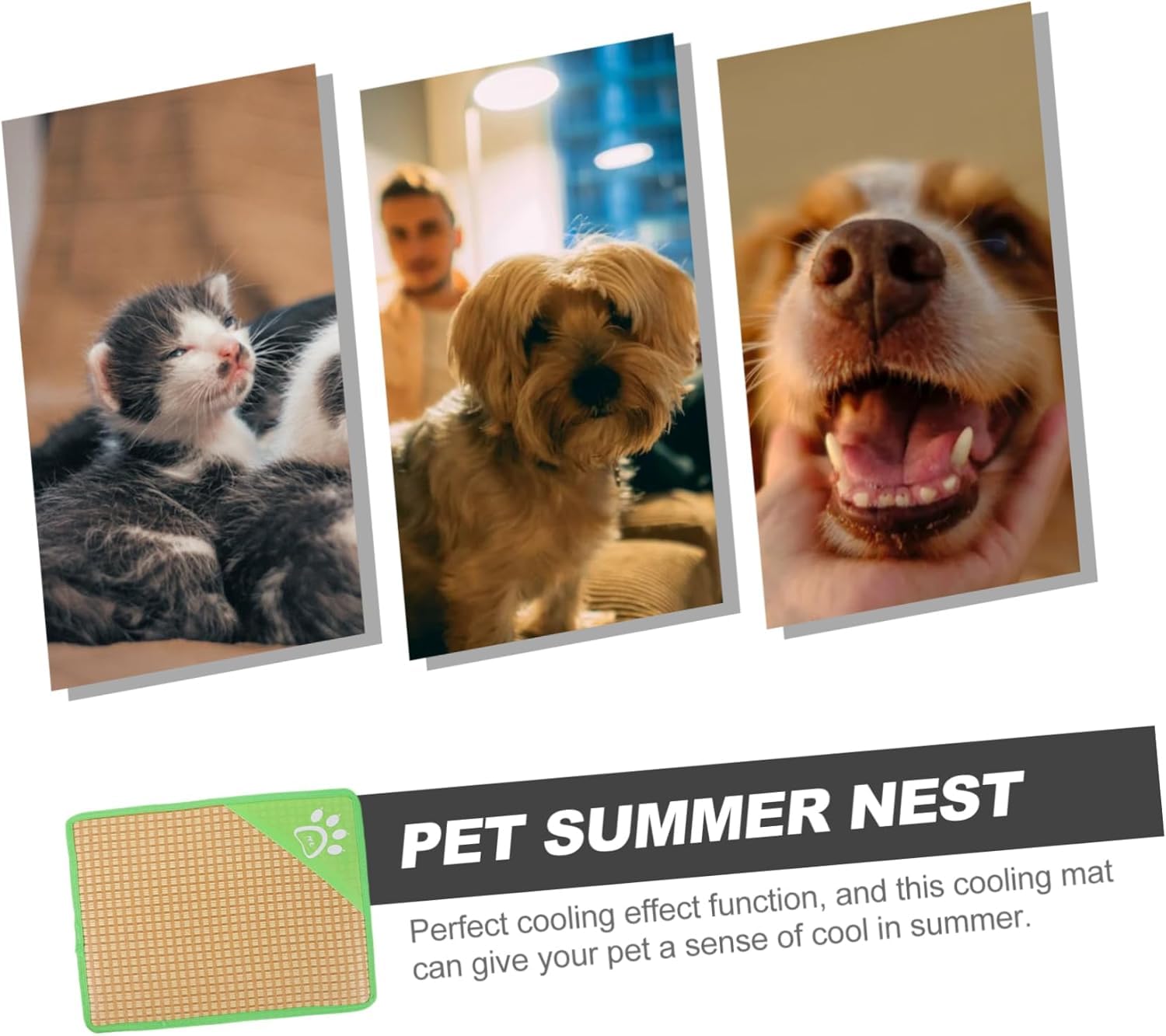 Pet Cooling Bed for Dogs & Cats