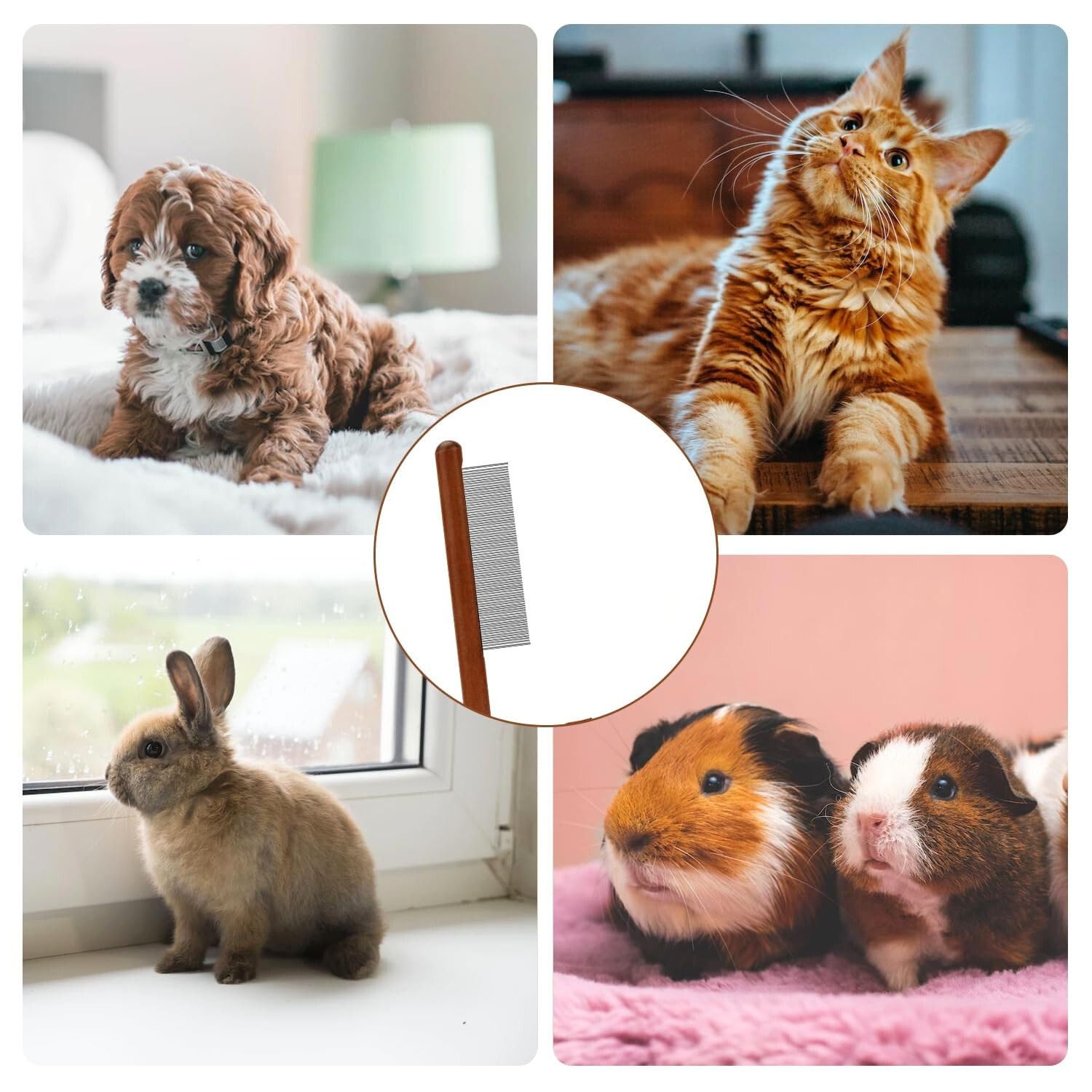 Pets Grooming Comb for Dogs & Cats