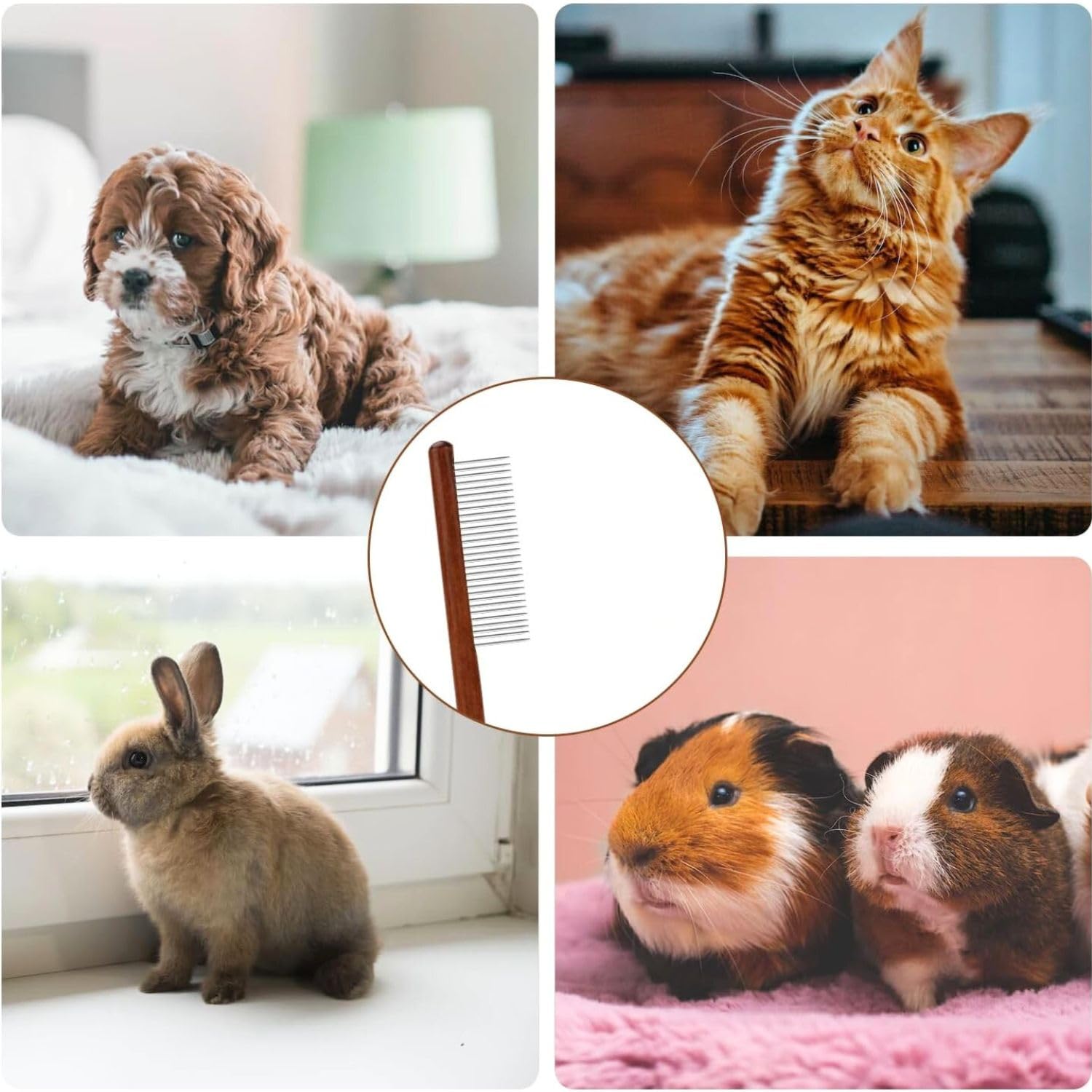 Grooming Comb for Dogs & Cats