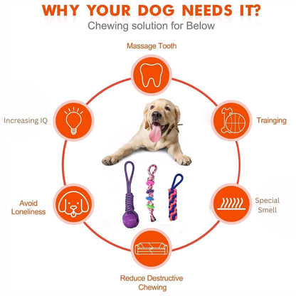 Pack 3 Cotton Dog Rope Toys
