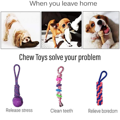 Pack 3 Cotton Dog Rope Toys
