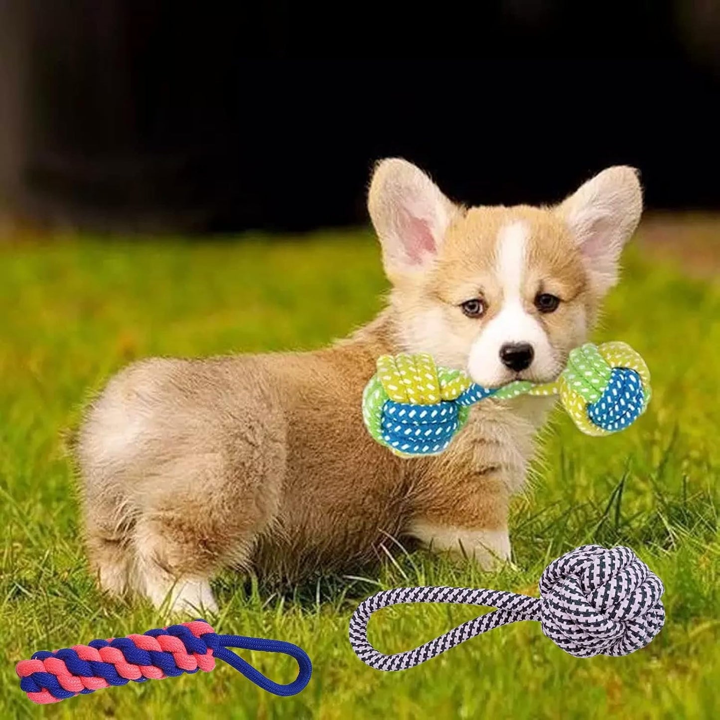 3-Pack Natural Cotton Puppy Chew Toys