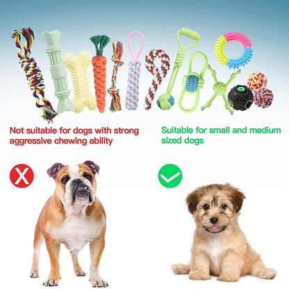 3-Pack Cotton Puppy Chew Combo