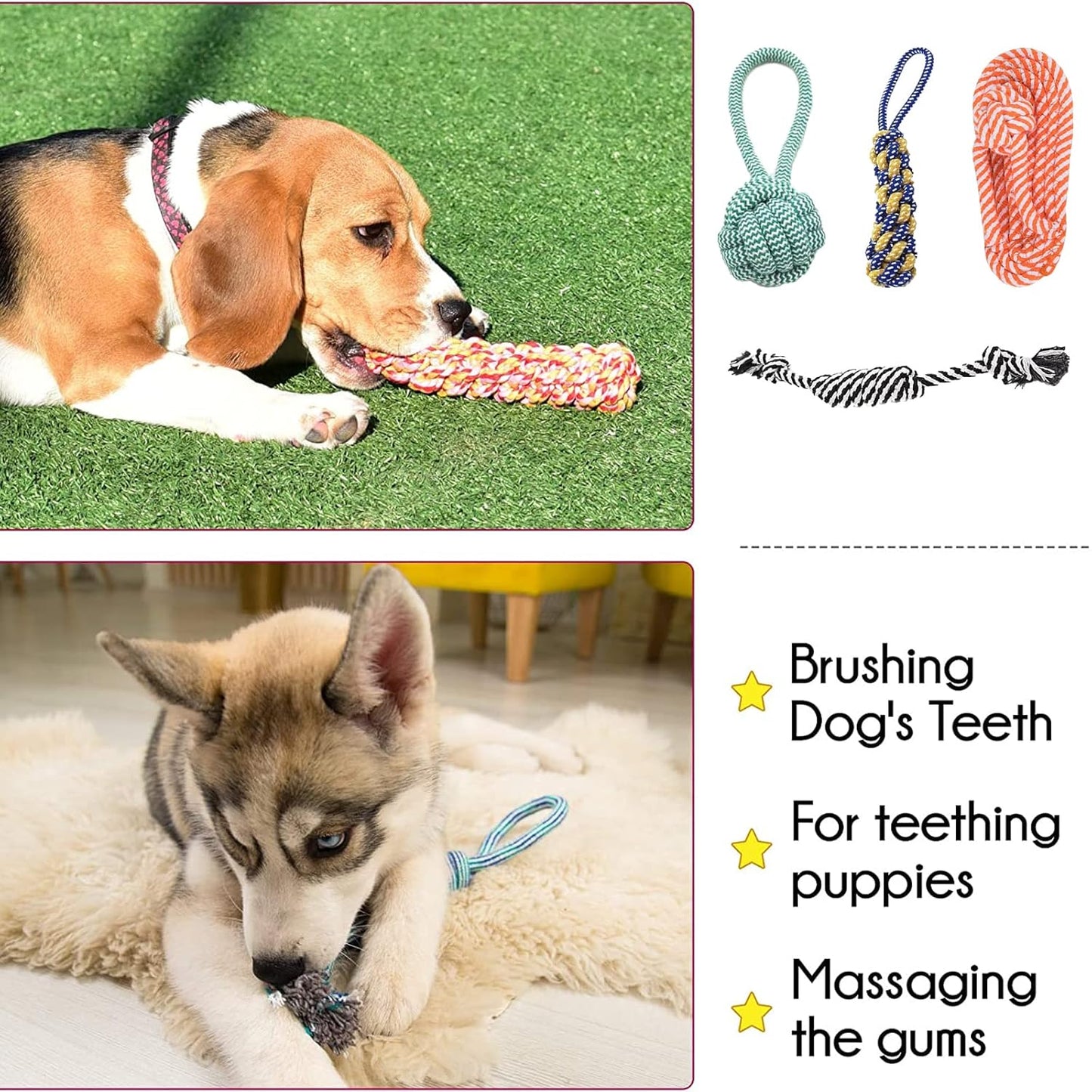 4-Pack Natural Cotton Puppy Toys