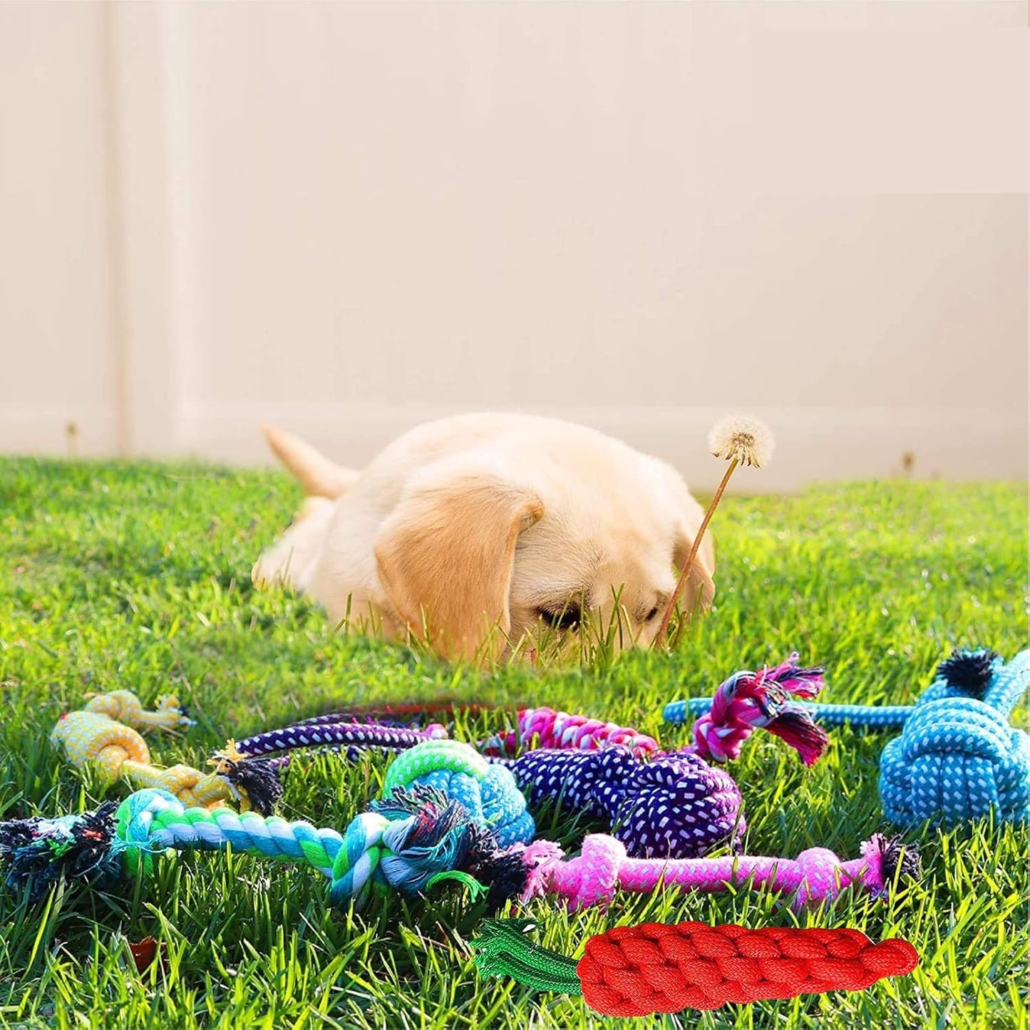 3-Pack Knotted Cotton Pet Toys