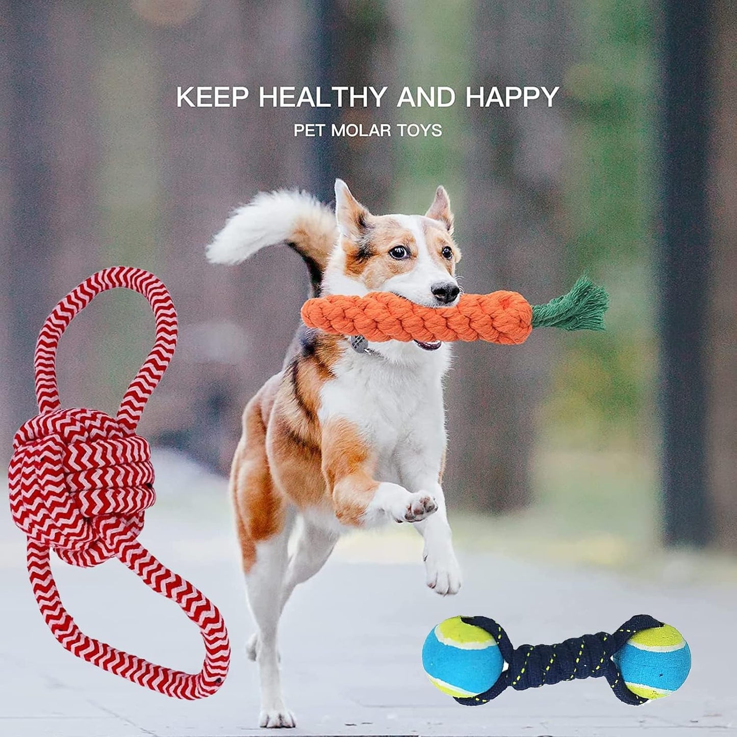 Natural Cotton Puppy Chew Toys