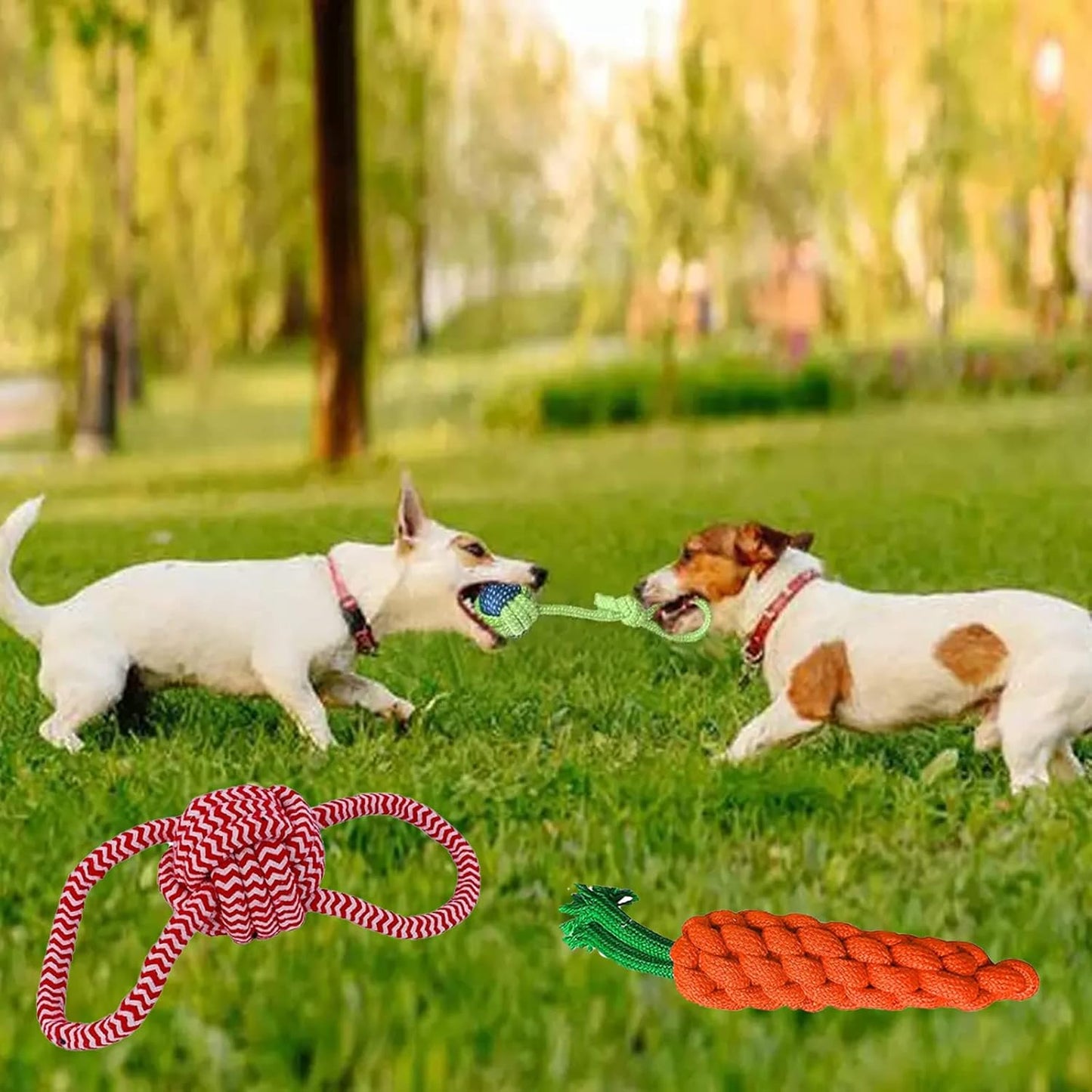 Natural Cotton Puppy Chew Toys