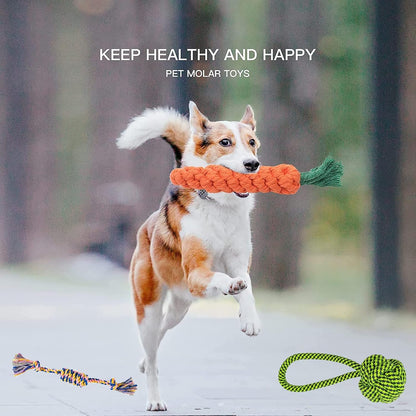 Natural Cotton Puppy & Cat Chew Toys