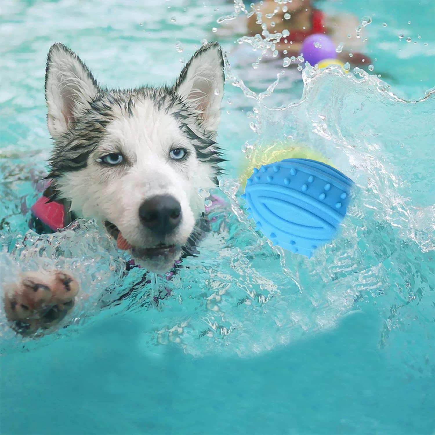 Rubber Spike Chewing & Playing Ball