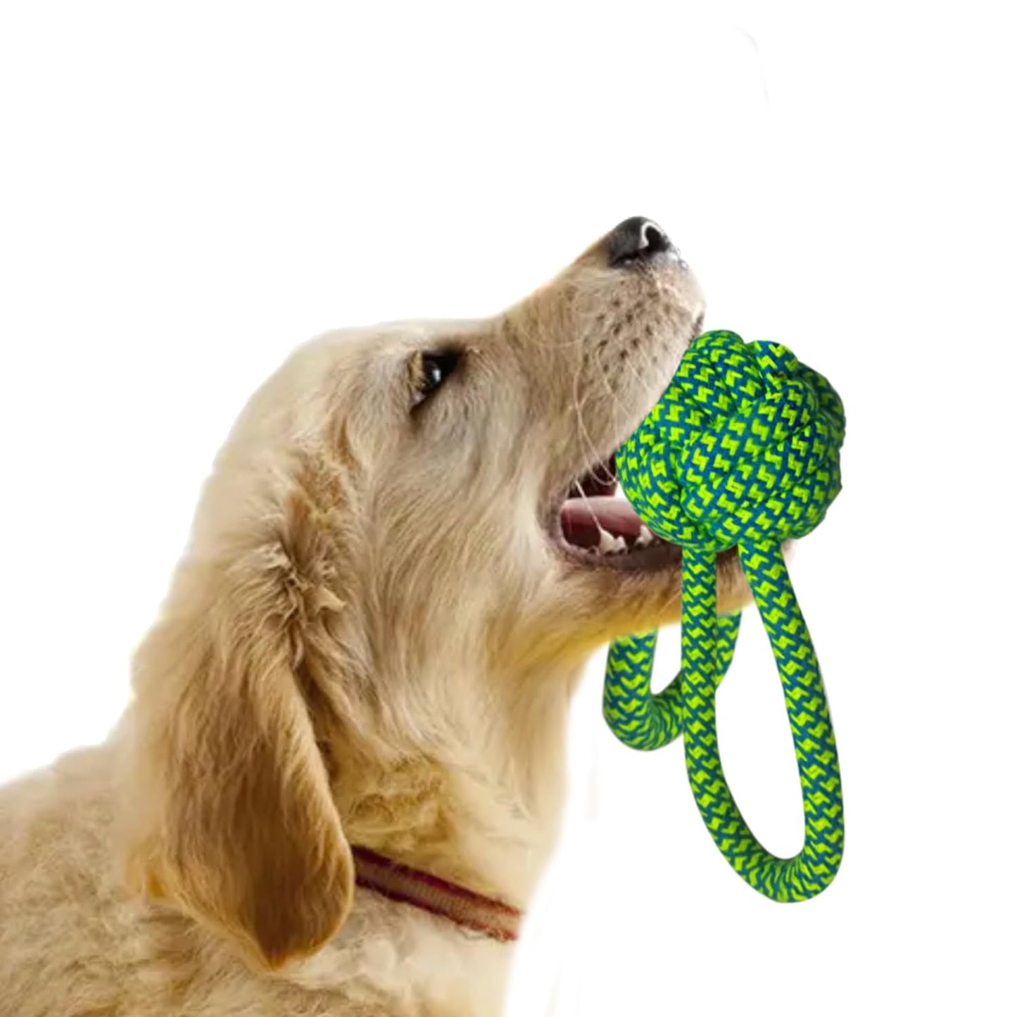 Knotted Cotton Tug & Chew To