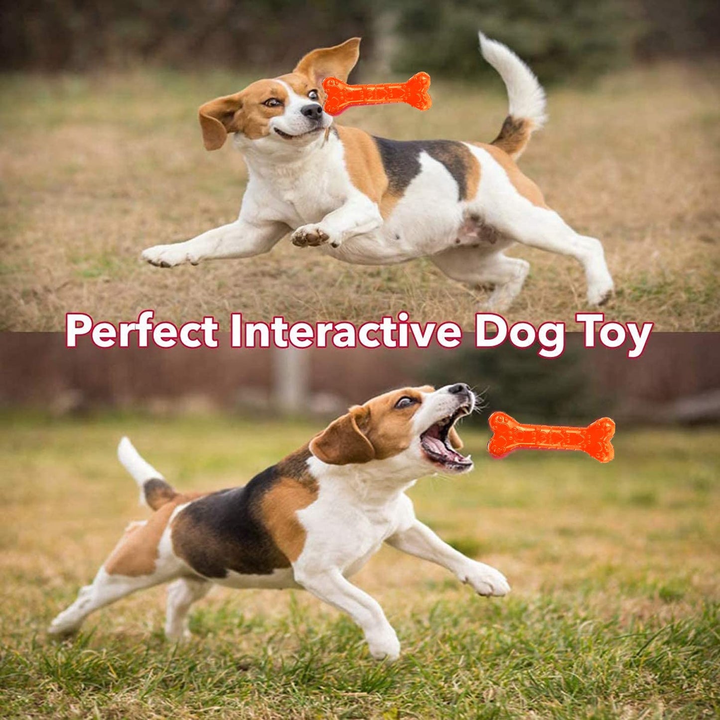 Natural Rubber Puppy Chew Bone