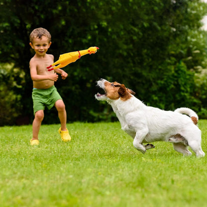 Dog Toy Screaming Chicken Toys