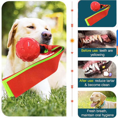 Aggressive Chewer Dog Ball Toy