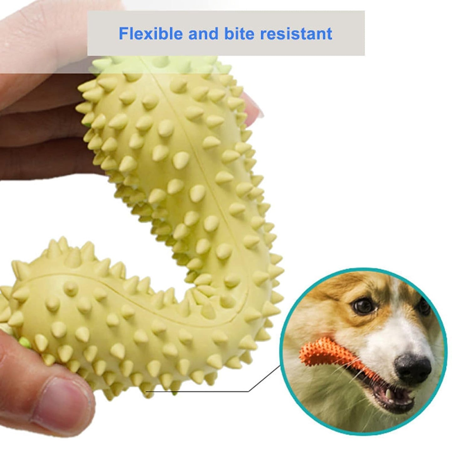 Spike Bone Puppy Chew Toy