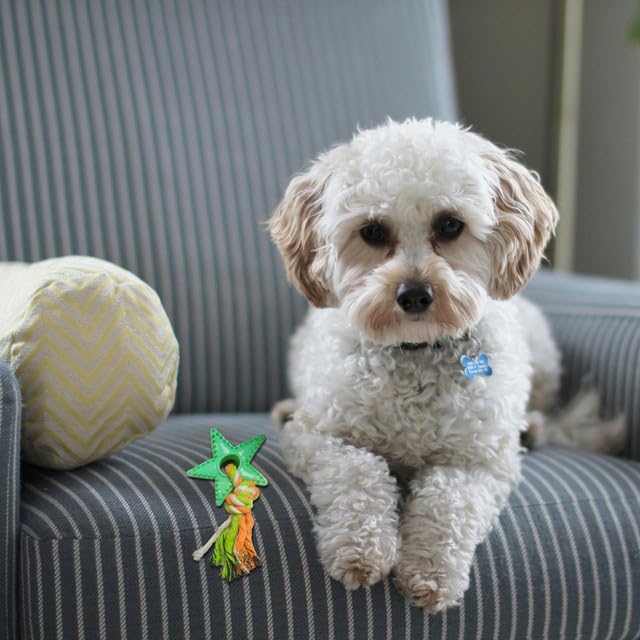 Dog Oral Care Rope Toy