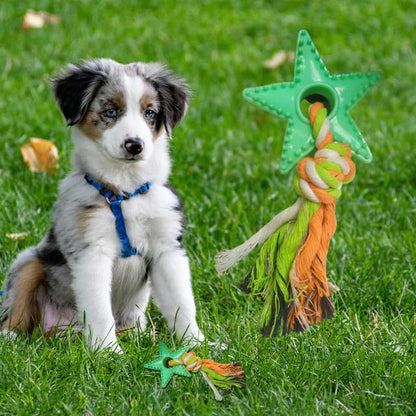 Dog Oral Care Rope Toy