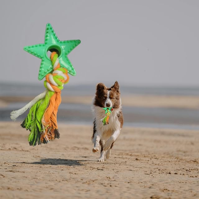 Dog Oral Care Rope Toy