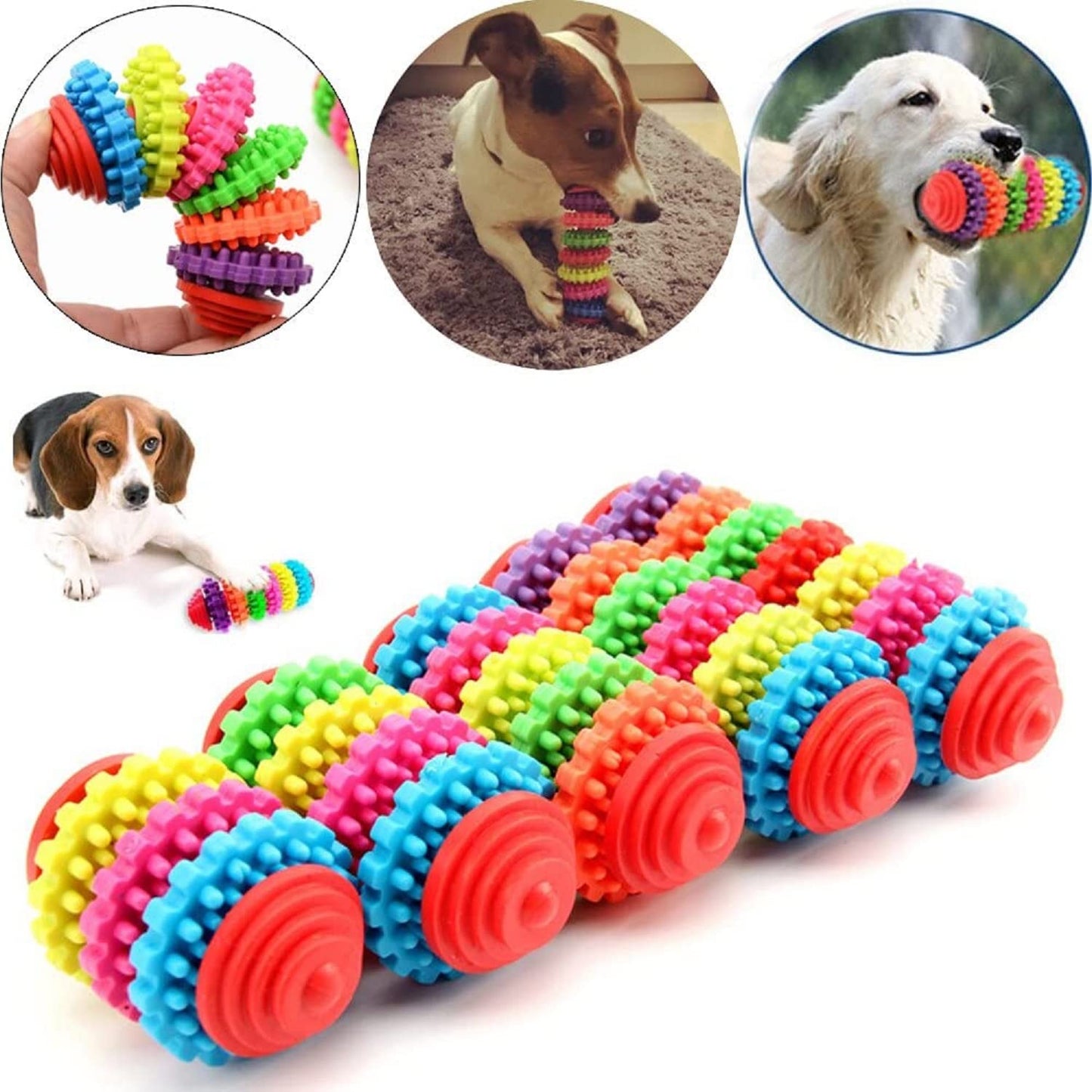 Colorful Rubber Ring Dog Toy