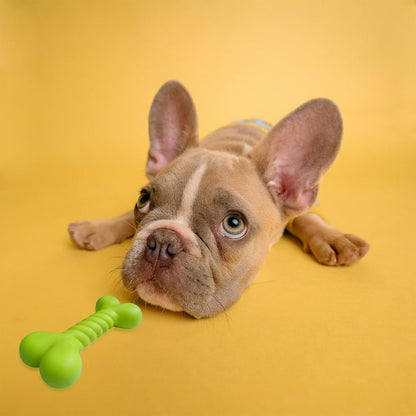 Rubber Teething Stick Dog Toy