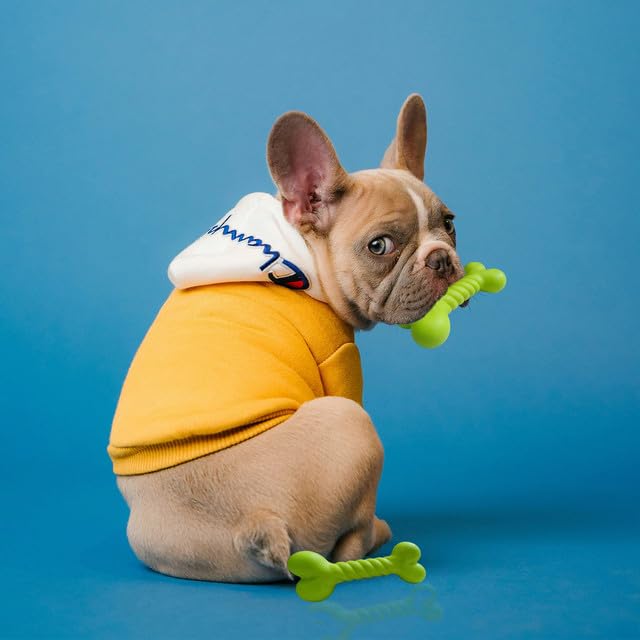 Rubber Teething Stick Dog Toy