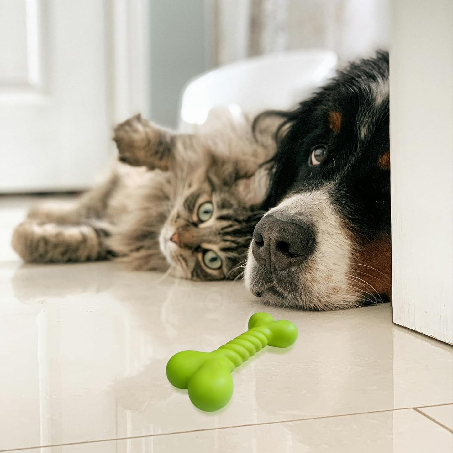 Rubber Teething Stick Dog Toy