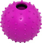 IQ Treat Dispensing Dog Ball