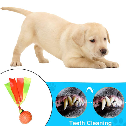 Squeaky Dog Toy TPR  Ball , Ribbon Tails Blue