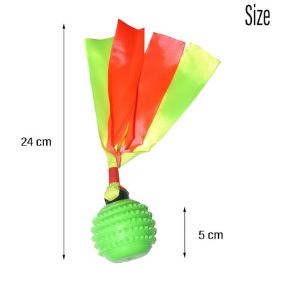 Squeaky Dog Toy TPR  Ball , Ribbon Tails