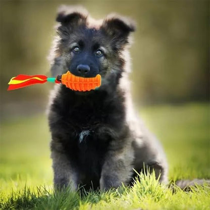 Squeaker Rope Tug Dog Toy