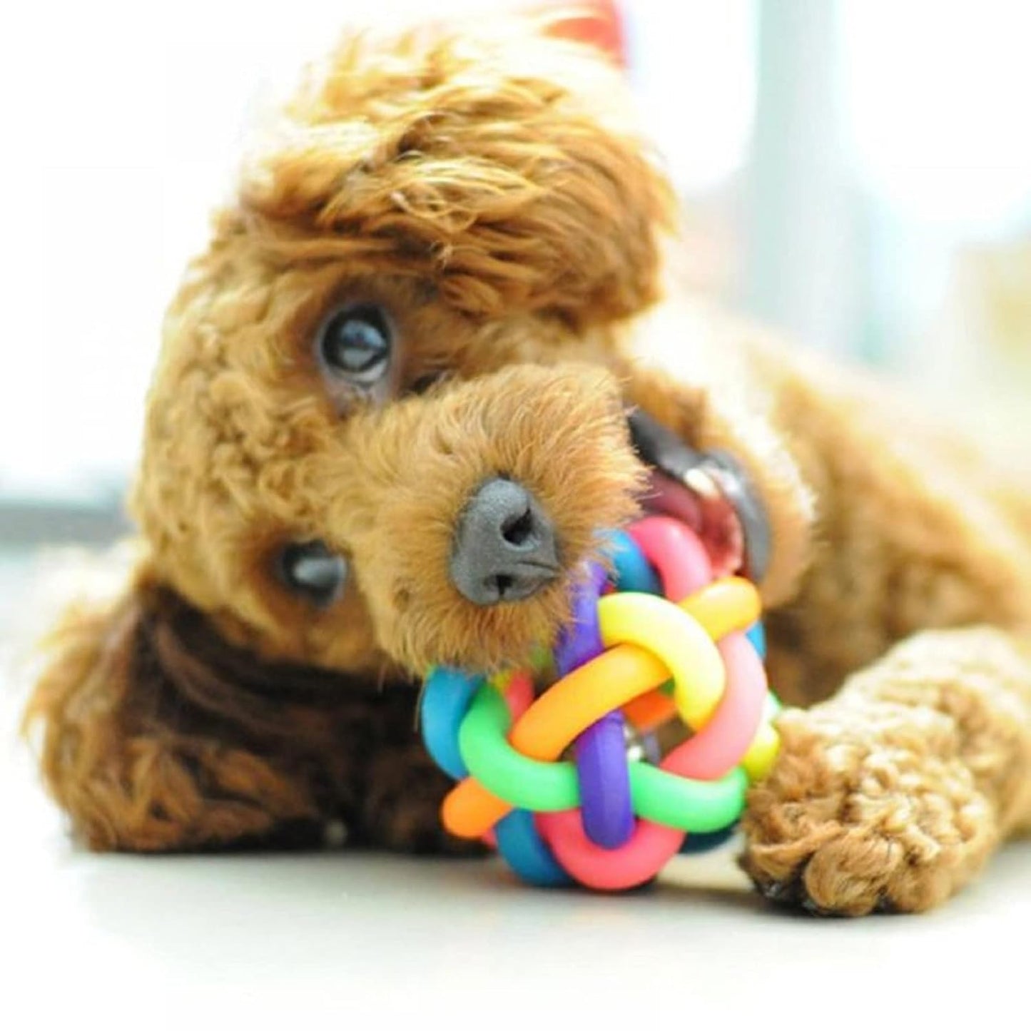 Dog Toy Rainbow Rubber Ball