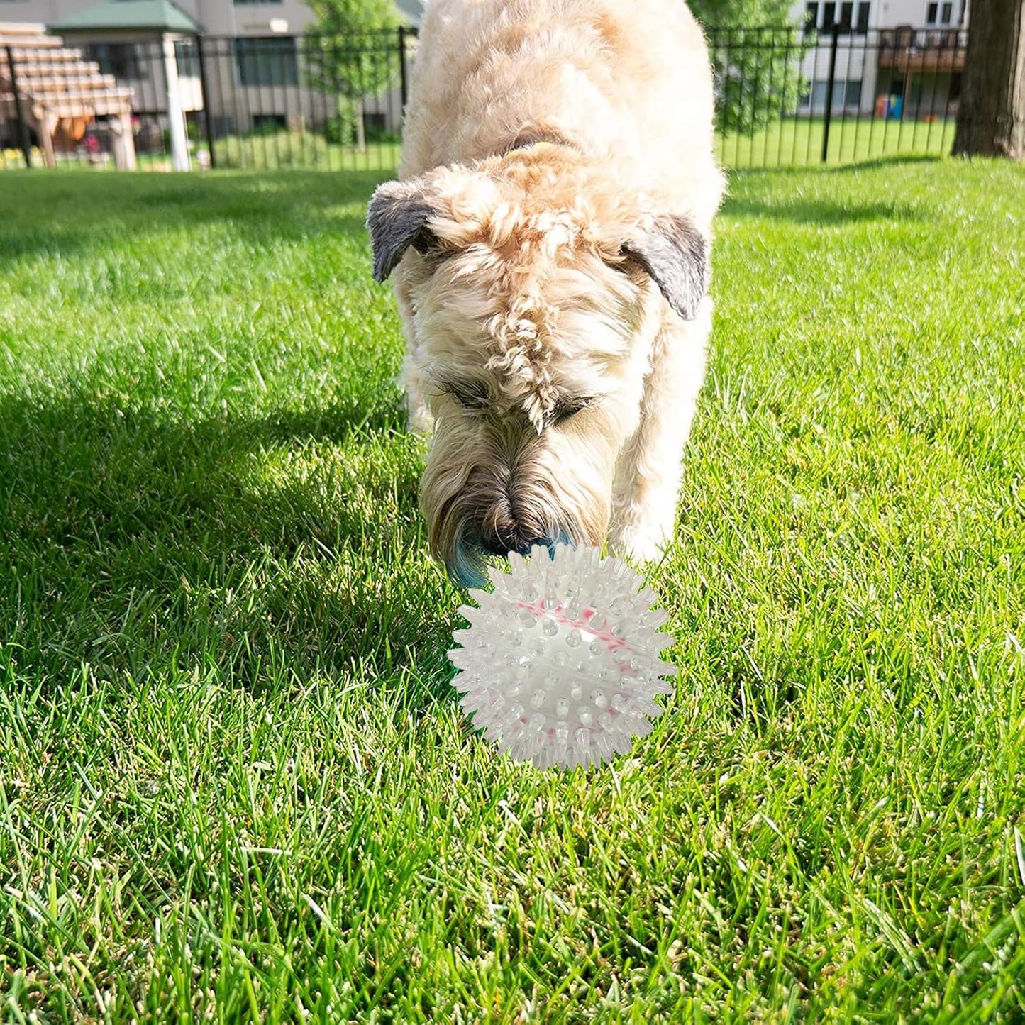 Spike Ball Chew Toy for all breed Dogs