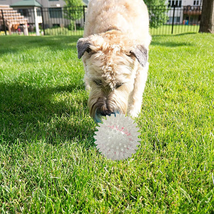 Spike Ball Chew Toy for all breed Dogs