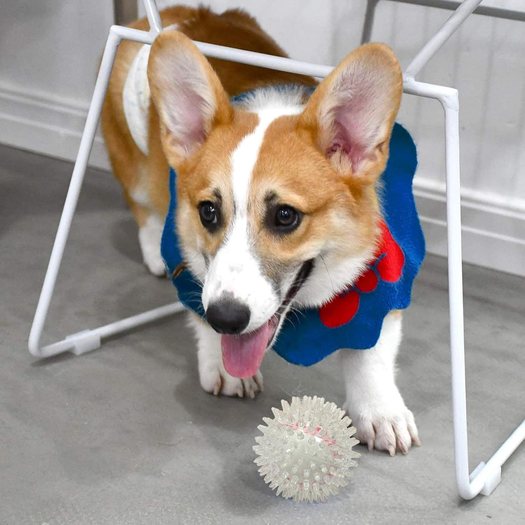 Spike Ball Chew Toy for all breed Dogs