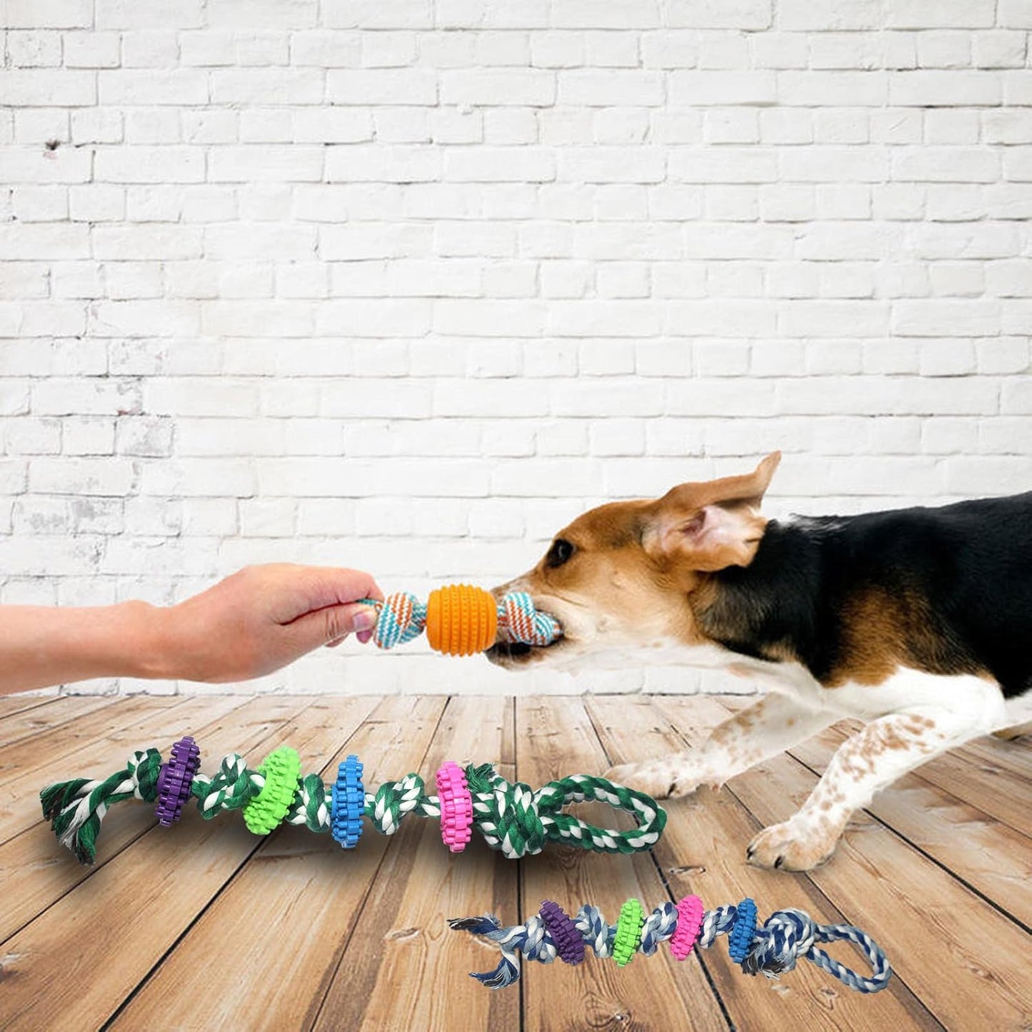 Cotton Rope Puppy Chew Toy