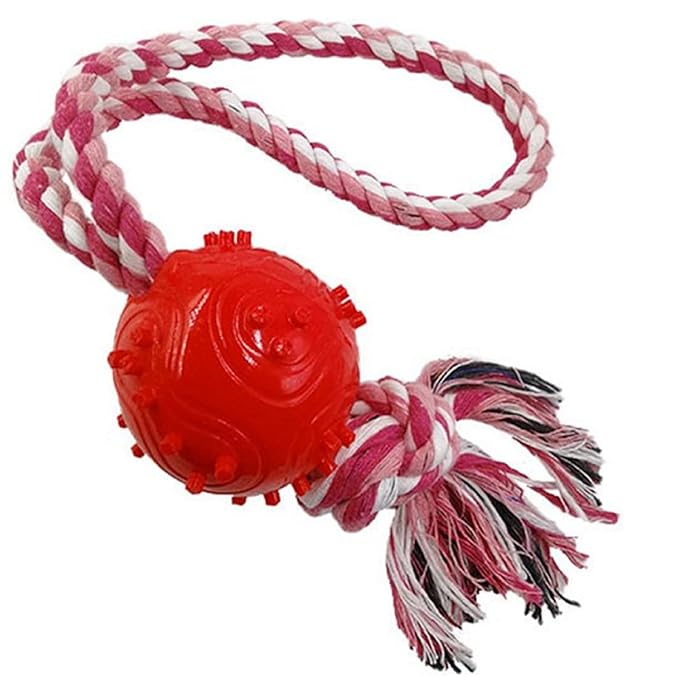 Toy for Dogs Ball with Inside Bell