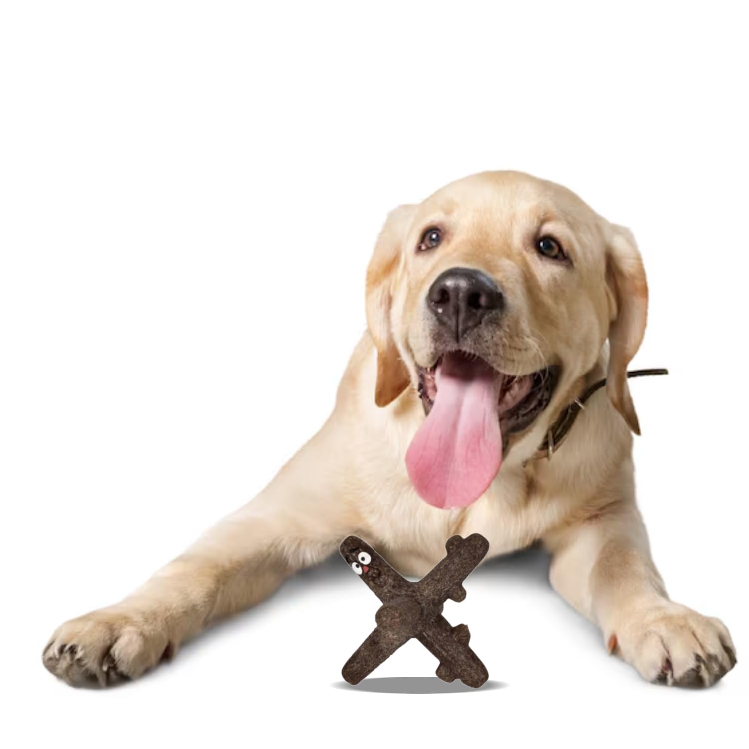 TPR Star-Shaped Dog Chew Toy