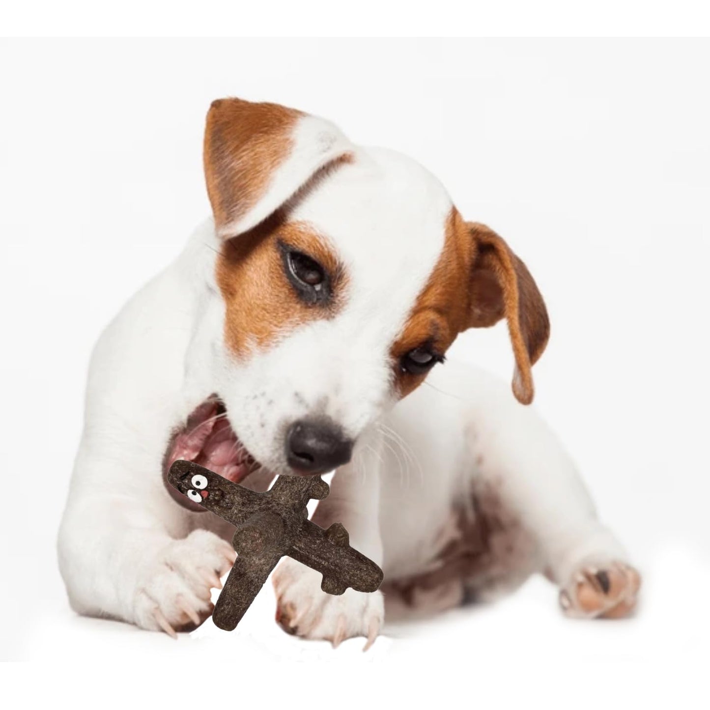TPR Star-Shaped Dog Chew Toy