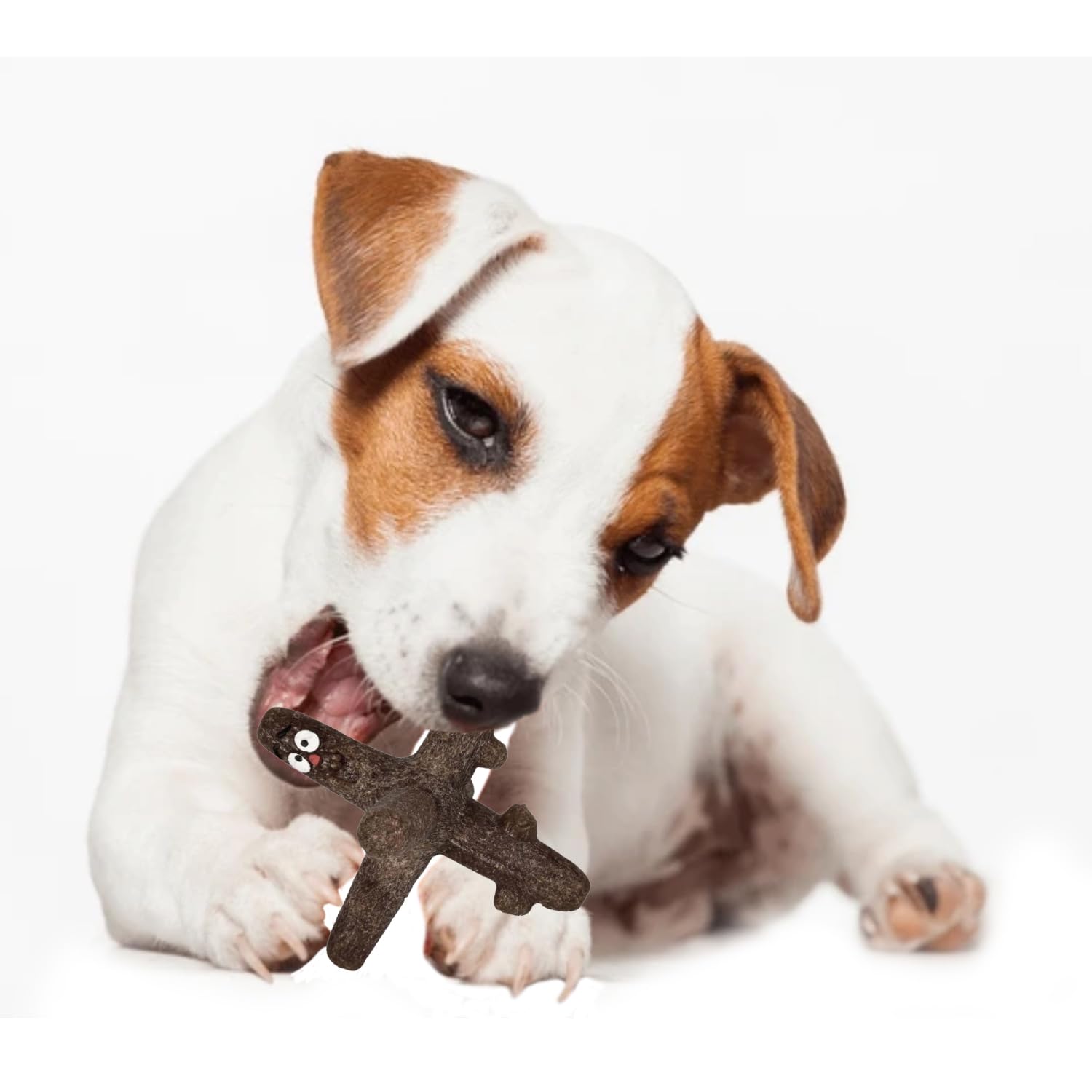 TPR Star-Shaped Dog Chew Toy