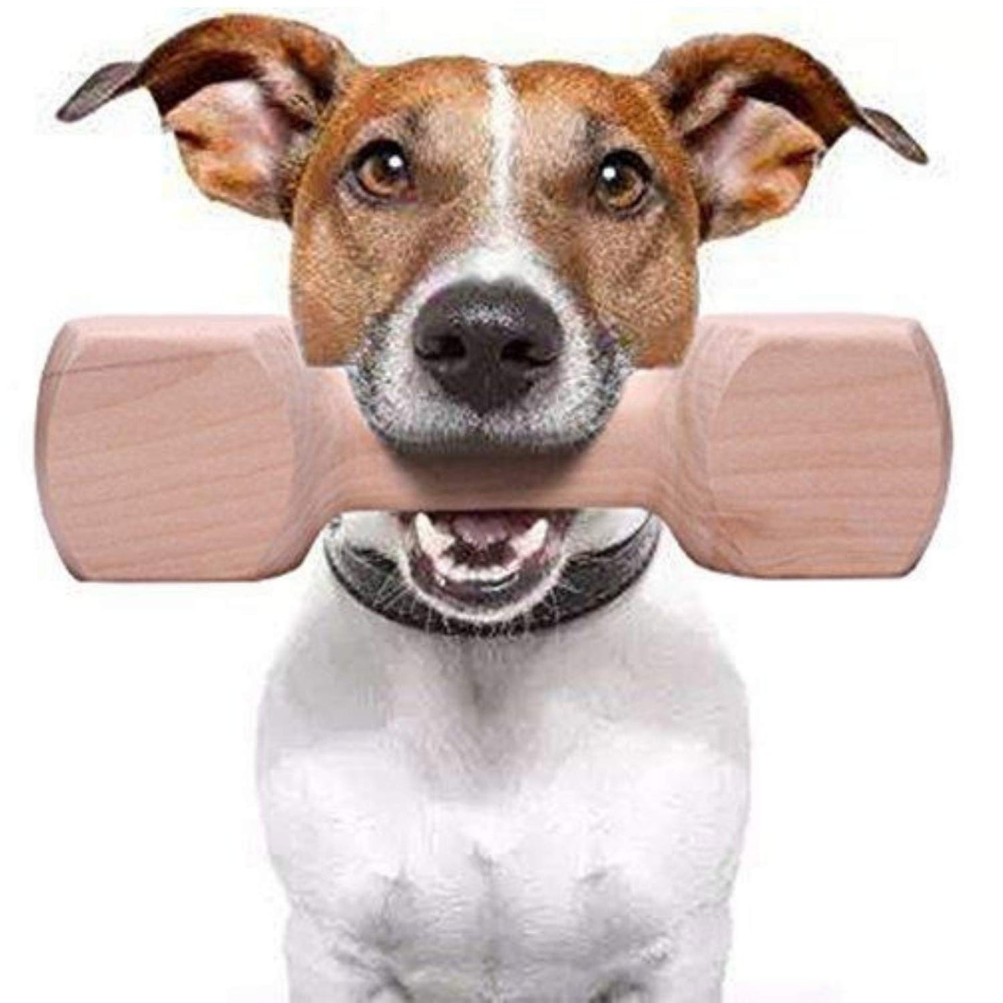 Wooden Dumbbell Dog Training Toy