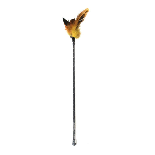Retractable Feather Wand Cat Toy